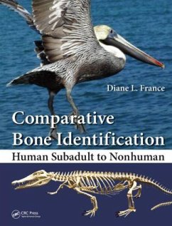 Comparative Bone Identification - France, Diane L