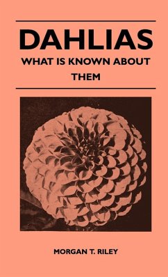 Cover Dahlias - What Is Known About Them