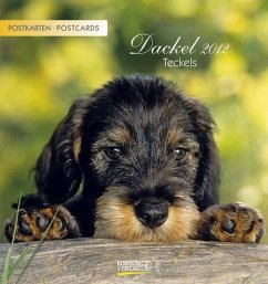 Cover Dackel 2012