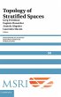 Topology of Stratified Spaces - Bild 1