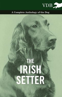 The Irish Setter - A Complete Anthology of the Dog - Various