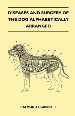 Diseases And Surgery Of The Dog Alphabetically Arranged - Raymond J. Garbutt