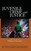 Juvenile Crime and Justice