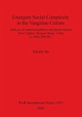 Emergent Social Complexity in the Yangshao Culture