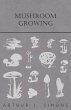 Mushroom Growing - Bild 1