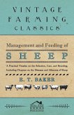 Management and Feeding of Sheep - A Practical Treatise on the Selection, Care, And Breeding, Including Chapters on the Diseases and Ailments of Sheep