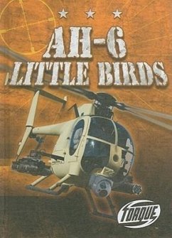 AH-6 Little Birds - Alvarez, Carlos