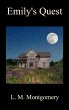 Emily's Quest - Bild 1