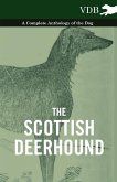 The Scottish Deerhound - A Complete Anthology of the Dog