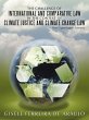 The Challenge of International and... - Bild 1