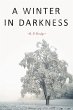 A Winter in Darkness - Bild 1