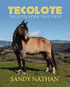 Tecolote - Nathan, Sandy