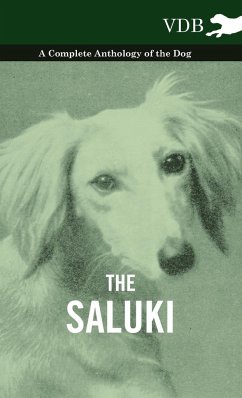 The Saluki - A Complete Anthology of the Dog - Various