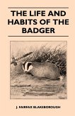The Life and Habits of The Badger