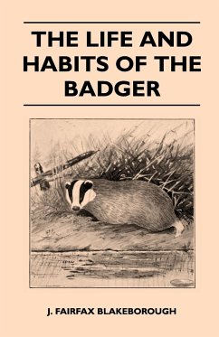 The Life and Habits of The Badger - Blakeborough, J. Fairfax