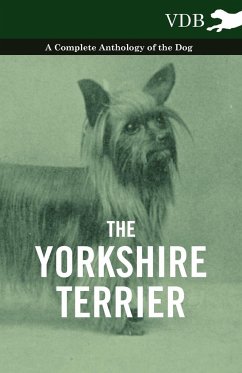 The Yorkshire Terrier - A Complete Anthology of the Dog