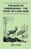 The Buck of Lordenshaw - The Story of a Roe Deer
