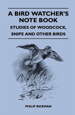 A Bird Watcher's Note Book - Studies Of Woodcock, Snipe And Other Birds - Rickman, Philip