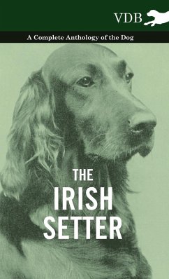 The Irish Setter - A Complete Anthology of the Dog - Various