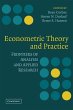 Econometric Theory and Practice - Bild 1
