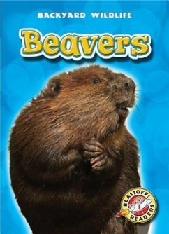 Beavers - Green, Emily