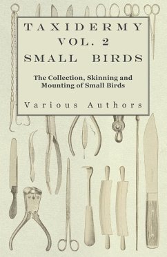 Taxidermy Vol. 2 Small Birds - The Collection, Skinning and Mounting of Small Birds - Various