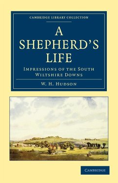 A Shepherd's Life - Hudson, William Henry; Hudson, W. H.