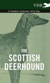 The Scottish Deerhound - A Complete Anthology of the Dog