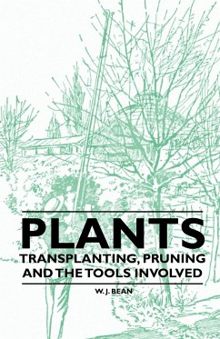 Plants - Transplanting, Pruning and the Tools Involved - Bean, W. J.