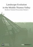 Landscape Evolution in the Middle Thames Valley: Heathrow Terminal 5 Excavations: Volume 2