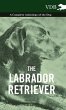 The Labrador Retriever - A Complete... - Bild 1