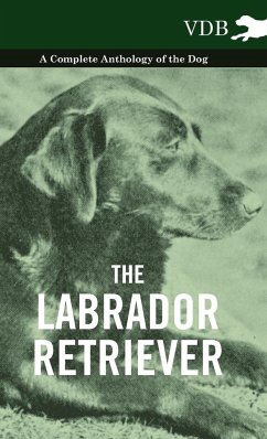 The Labrador Retriever - A Complete Anthology of the Dog - Various