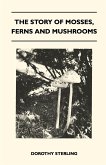 The Story Of Mosses, Ferns And Mushrooms