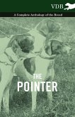 The Pointer - A Complete Anthology of the Breed