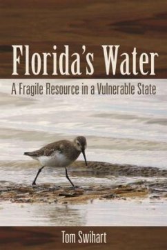 Florida's Water - Swihart, Tom