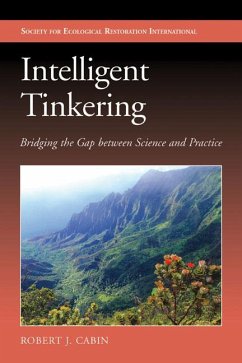 Intelligent Tinkering: Bridging the Gap Between Science and Practice - Cabin, Robert Jonathan