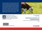 Nutritional evaluation of irrigated grasses