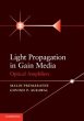 Light Propagation in Gain Media - Bild 1