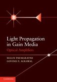 Light Propagation in Gain Media