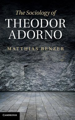 The Sociology of Theodor Adorno - Benzer, Matthias