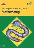 Sut I Ddisgleirio Chael Hwyl Mewn Mathemateg