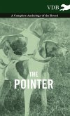 The Pointer - A Complete Anthology of the Breed