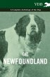 The Newfoundland - A Complete Anthology... - Bild 1