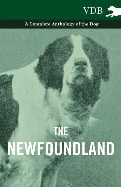 The Newfoundland - A Complete Anthology of the Dog - Various