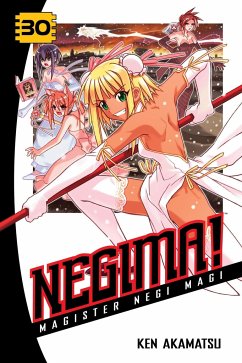 Negima!, Volume 30 - Akamatsu, Ken