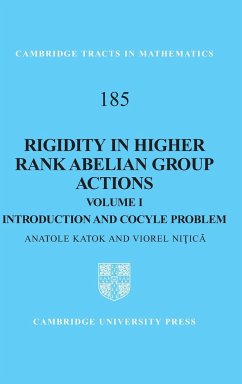 Rigidity in Higher Rank Abelian Group Actions - Katok, Anatole; Ni¿ic¿, Viorel