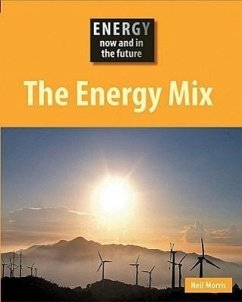The Energy Mix - Morris, Neil
