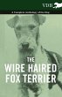 The Wire Haired Fox Terrier - A... - Bild 1