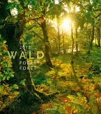 Wald 2012