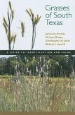 Grasses of South Texas